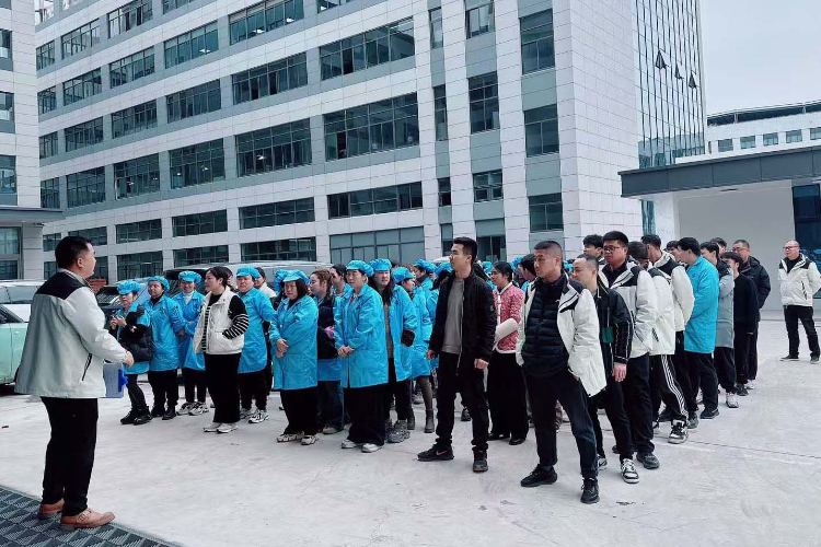 公司环境
